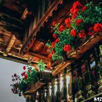 berg-und-bauernhaus-sh-events-sommer-3